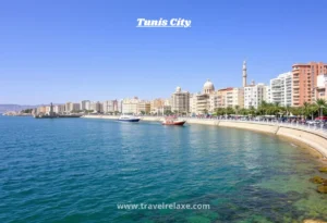 Tunis City
